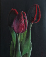 /album/fotogalerie-galerie/tmave-tulipany-jpg/